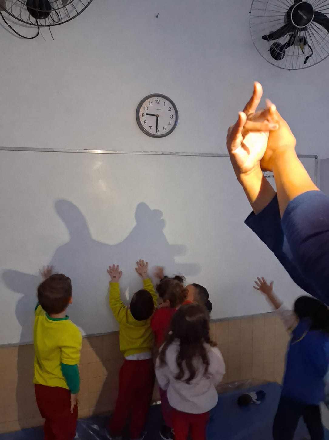 Imagem da galeria